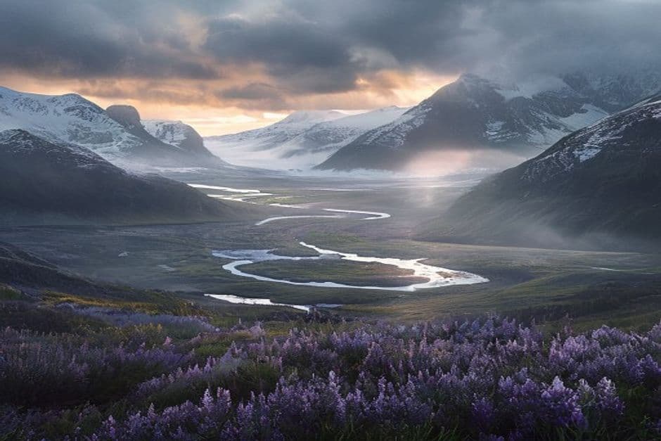 Golden hour in the highlands — lupine fields, obsidian rivers, and god rays cutting through the fog. #landscape #aiart #daily