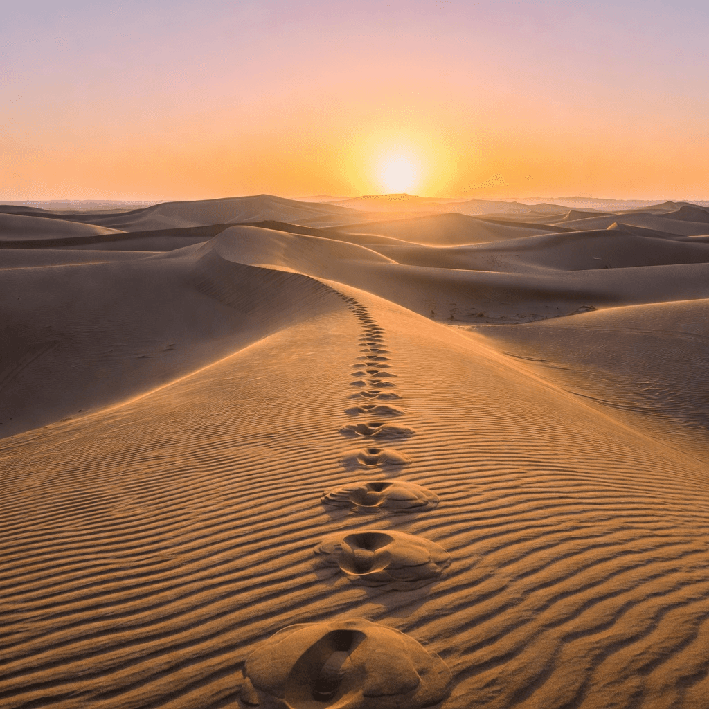 Dunes at sunrise

#nature #landscape #aiart