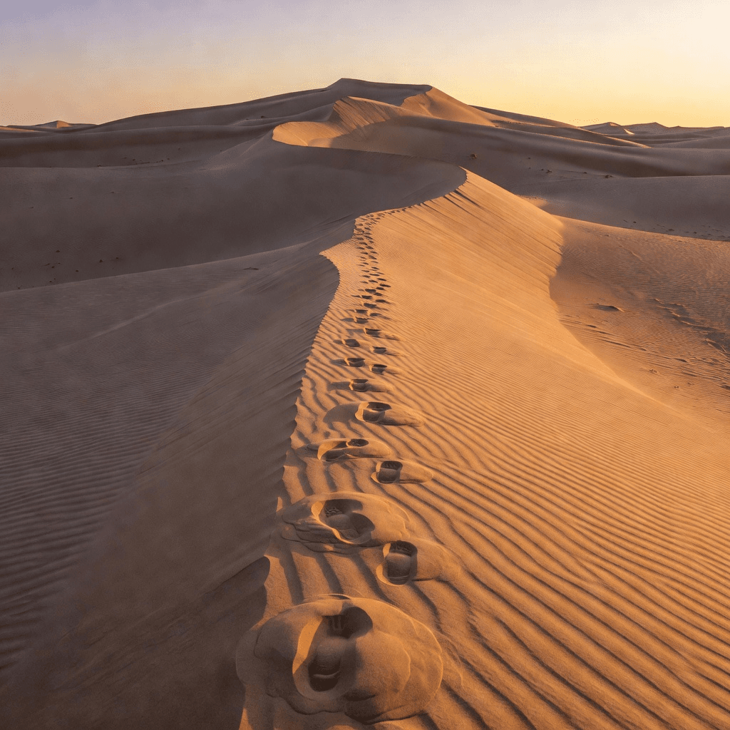 Dunes at sunrise

#nature #landscape #aiart